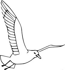 Genial Gaviota Volando Para Colorear Imprimir E Dibujar Coloringonly