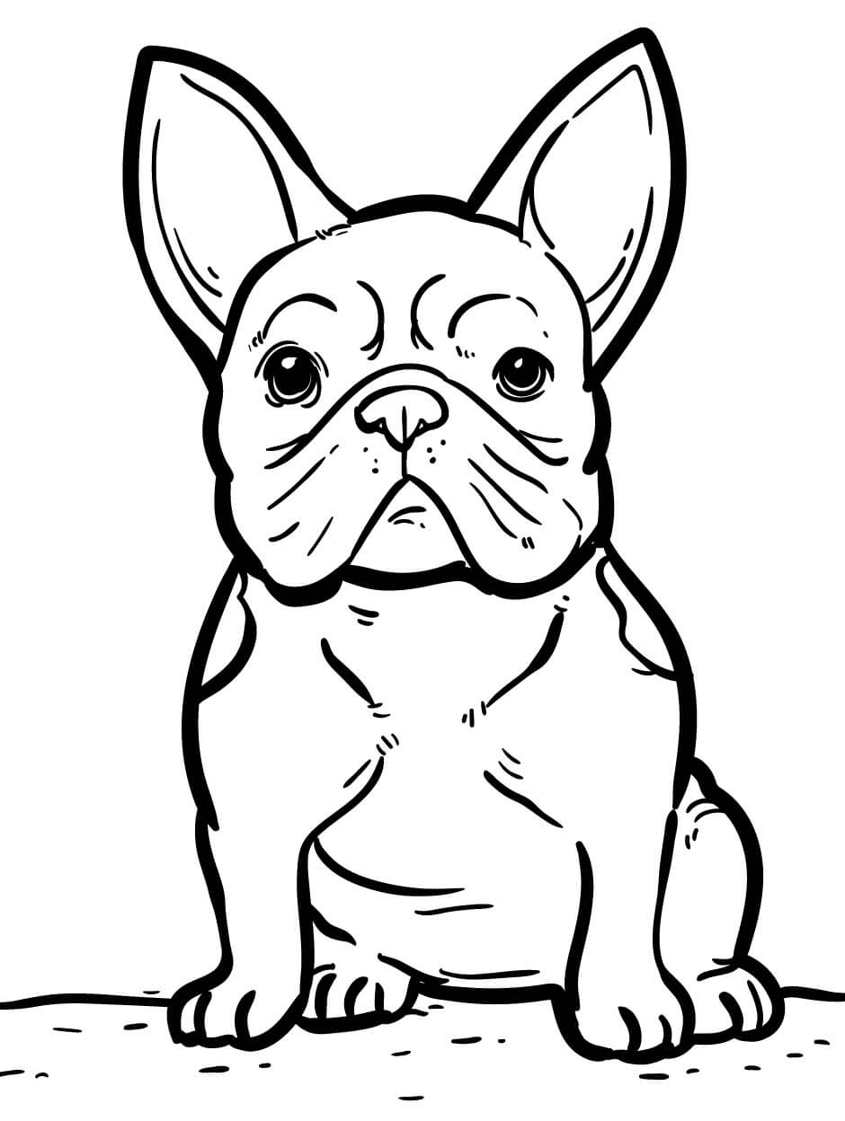 Perro Pug Para Colorear Imprimir E Dibujar Coloringonly