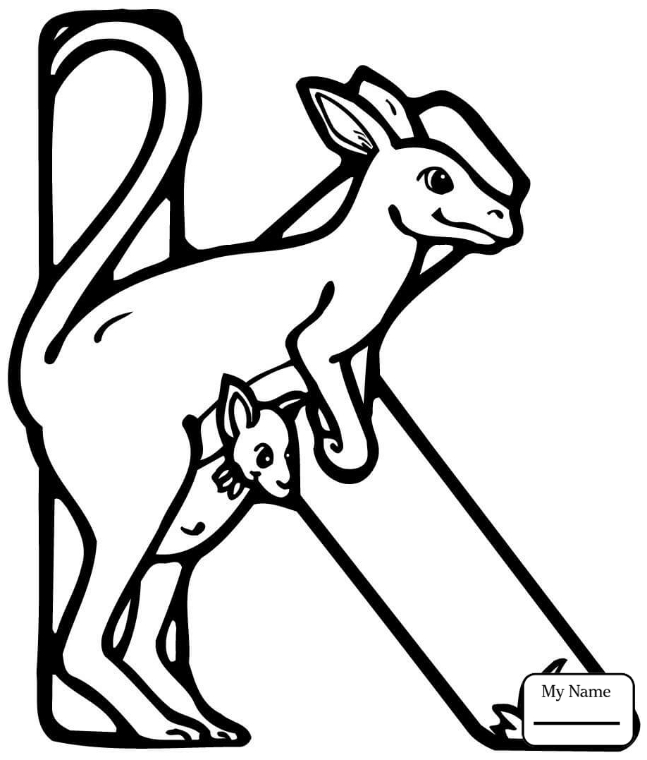 Letter K For Kangaroo