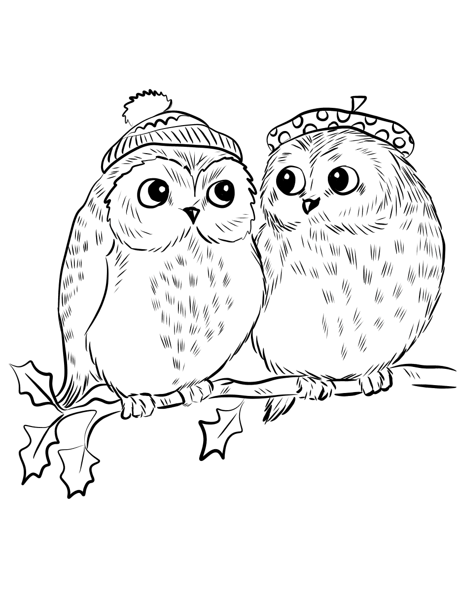 Couple Of Owls