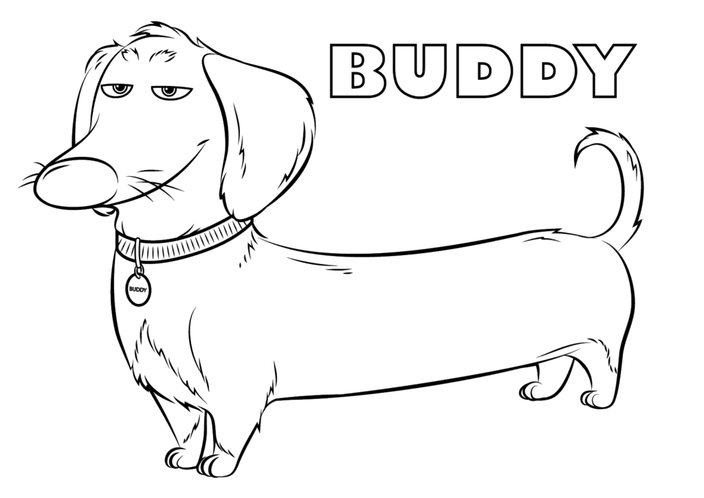 Buddy