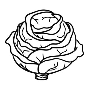 Cabbage Coloring Page