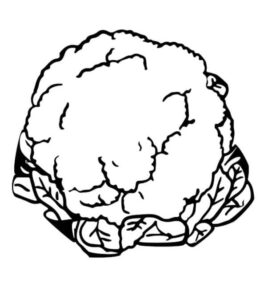 Cauliflower Coloring Page