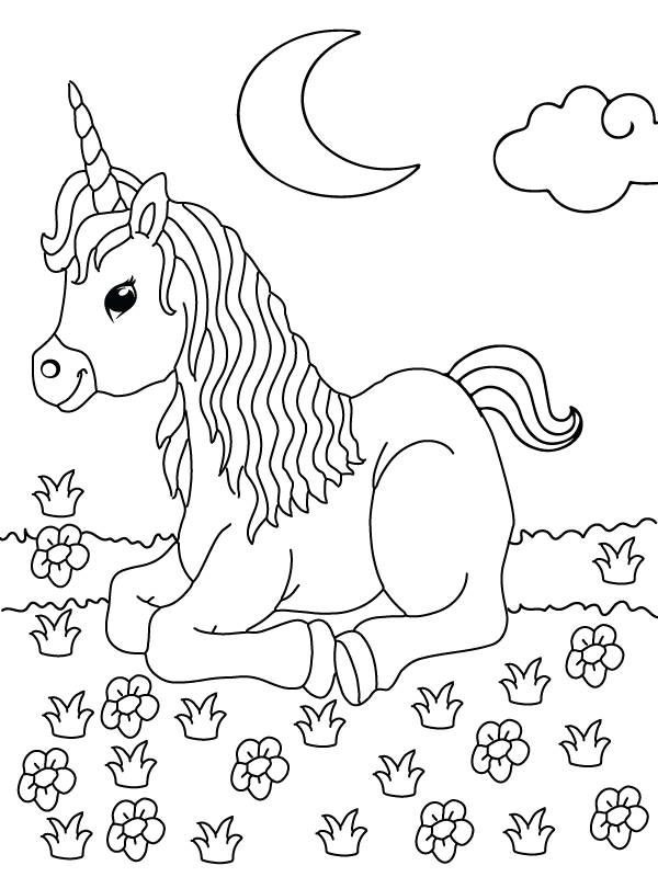 Charming Unicorn Fantasy World