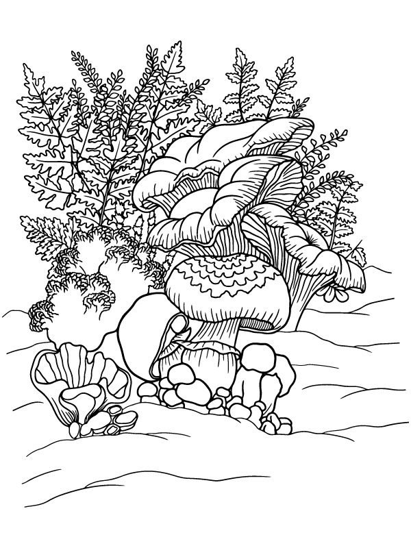 Cottagecore Mushroom