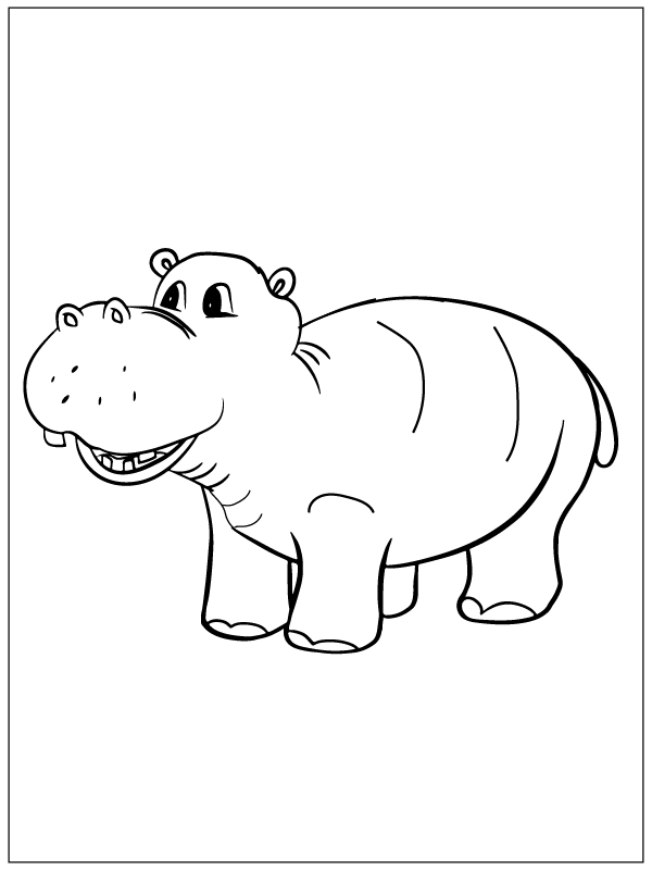 Cute Hippo