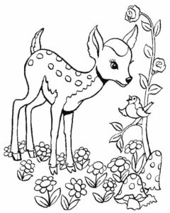 Fawn Coloring Page