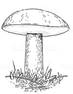 Mushroom Coloring Page