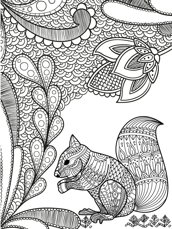 Nature Mandala and Squirrel