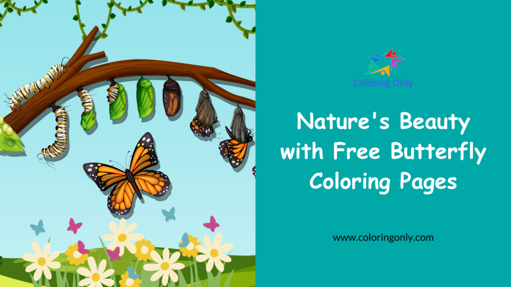 Nature's Beauty with Free Butterfly Coloring Pages