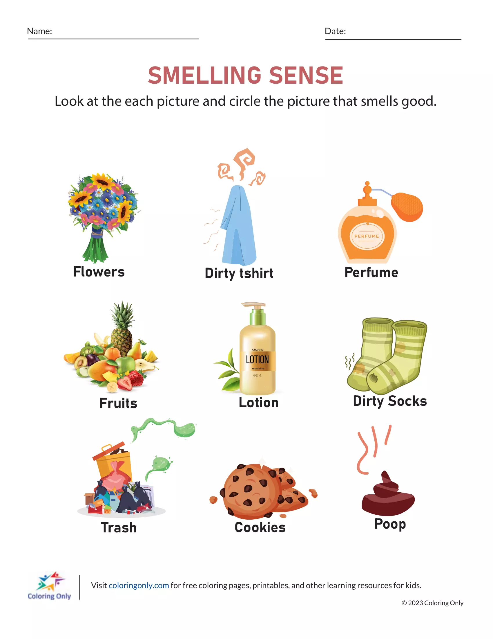 Smelling Sense Free Printable Worksheet