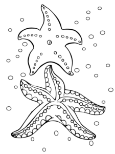 Starfish Underwater Coloring Page