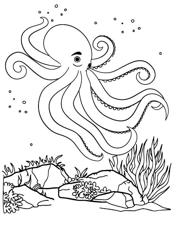 Schwimmender Oktopus