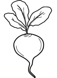 Turnip Coloring Page