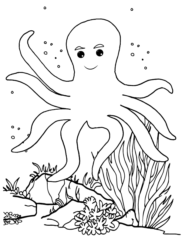 Weiser Oktopus