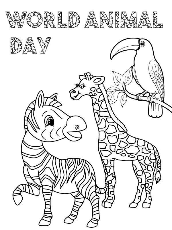 Zebra, Giraffe, and Toucan