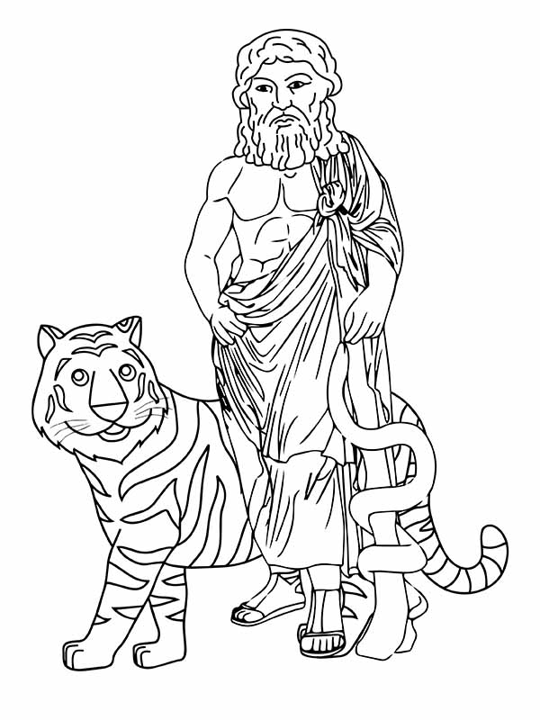 Zeus und sein Tiger