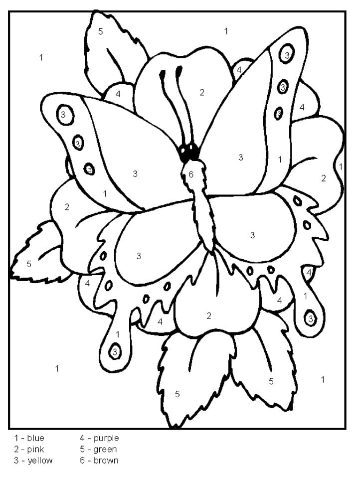 A Butterfly Color by Number