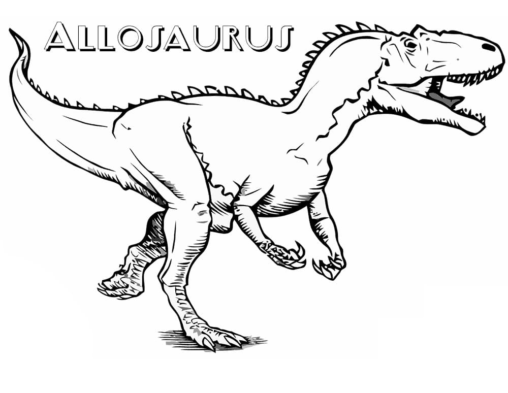 Allosaurus 3