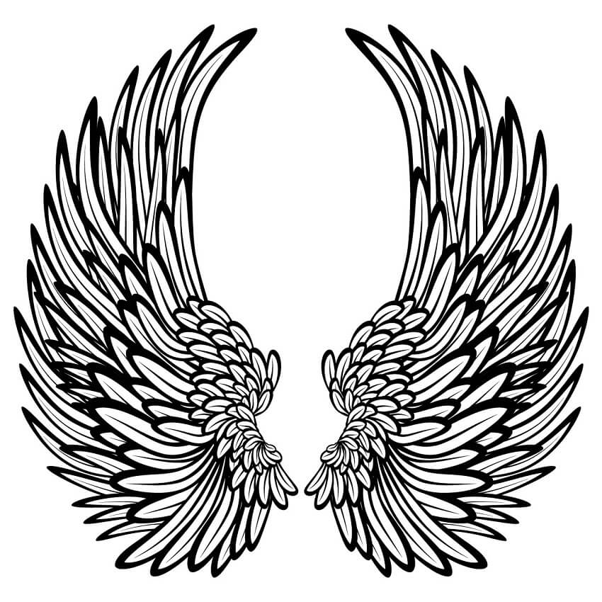 Beautiful Angel Wings
