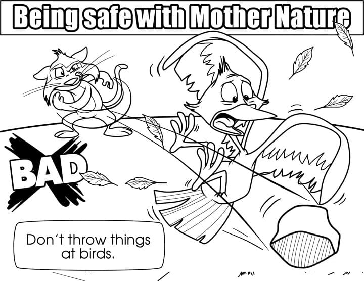 Bird Safety