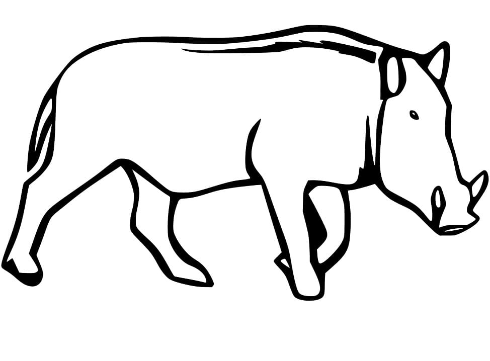 Printable Wild Boar - Coloring Pages