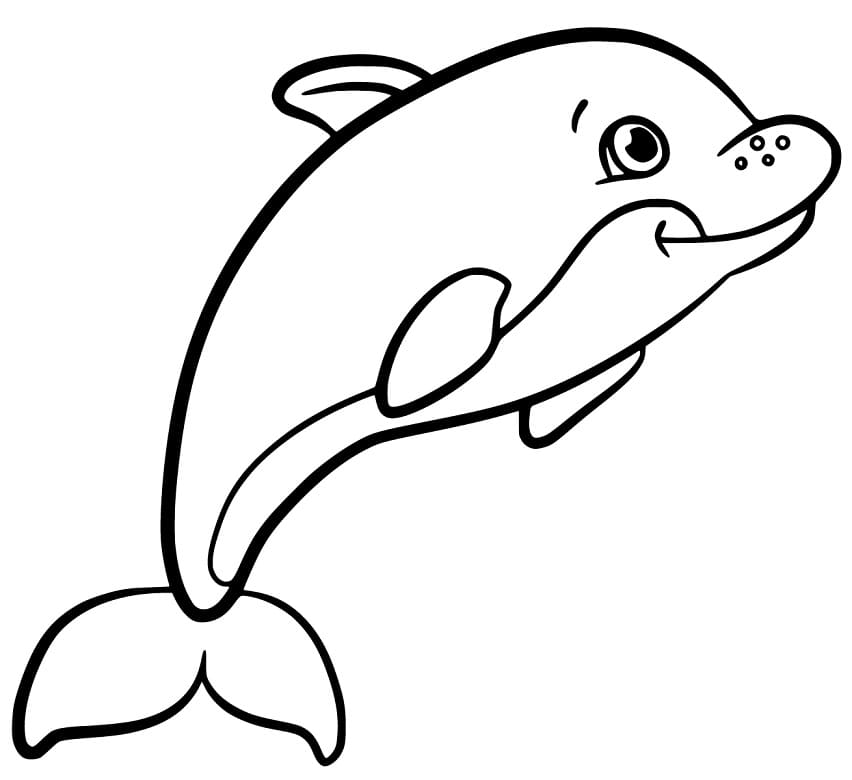 Cartoon Porpoise Färbung Seite - Kostenlose druckbare Malvorlagen für ...