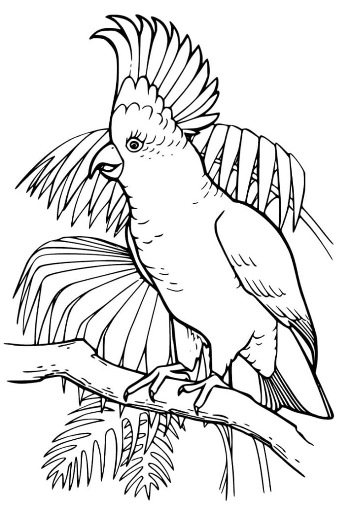 Cockatiel on a Tree - Coloring Pages