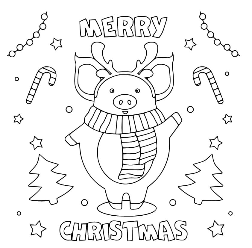 Cute Christmas Pig