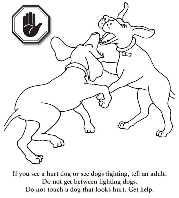 Dog Safety 2