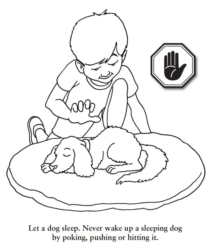 Dog Safety 4