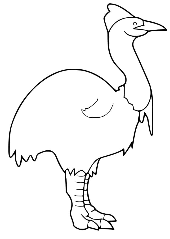 Easy Cassowary Coloring Page