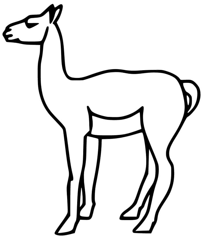 Easy Guanaco