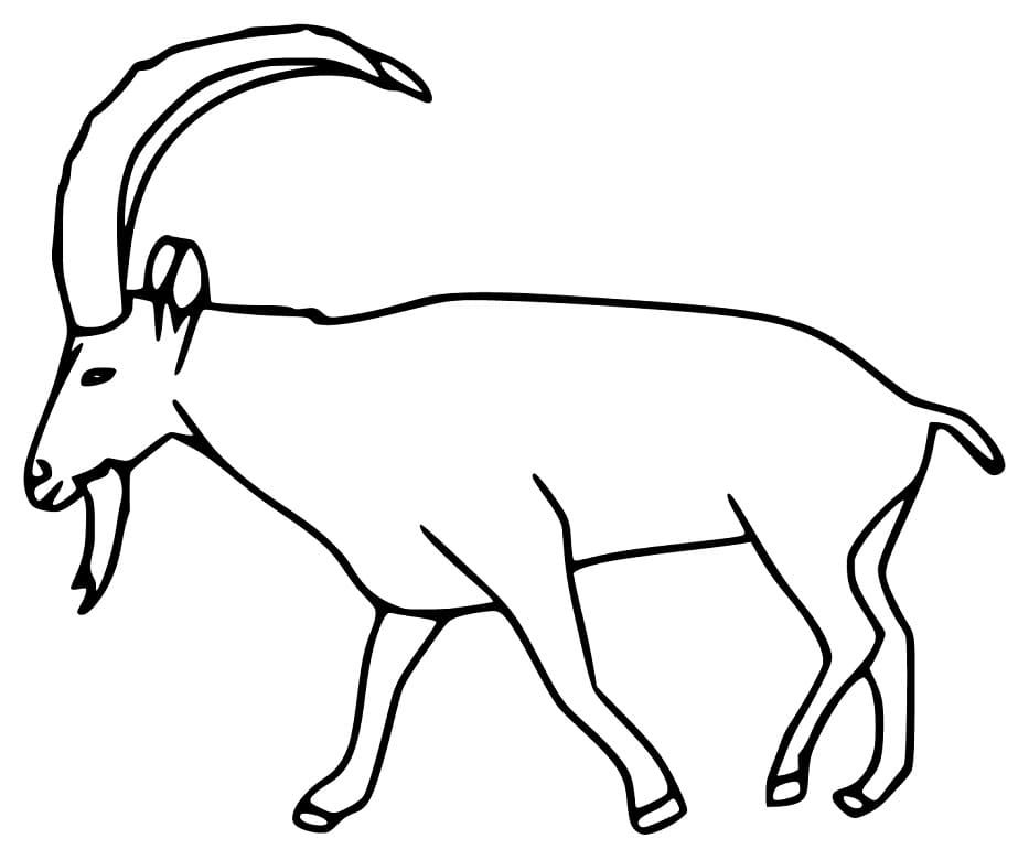 Free Ibex