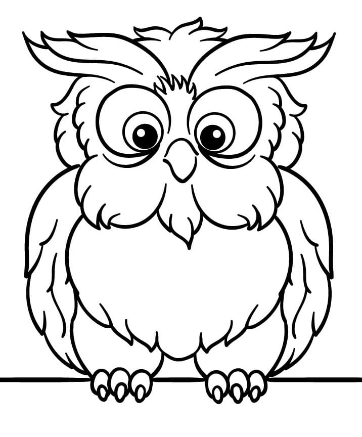Free Owl