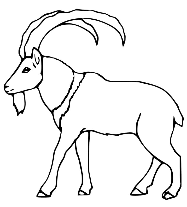 Free Printable Ibex