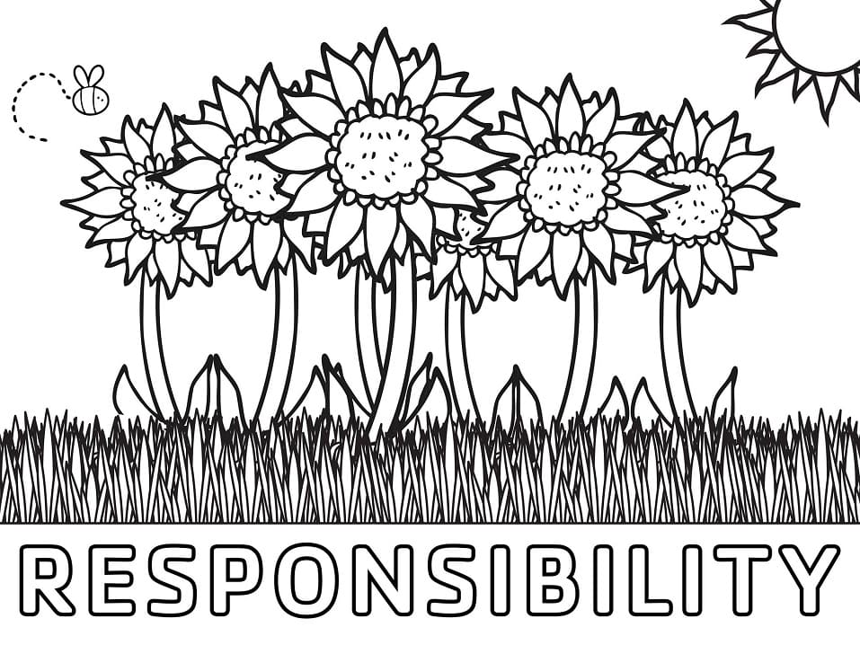 Responsibility