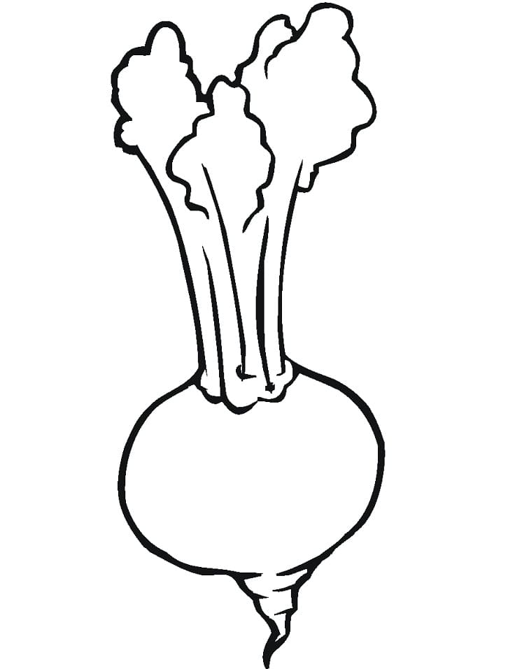 Free Printable Turnip