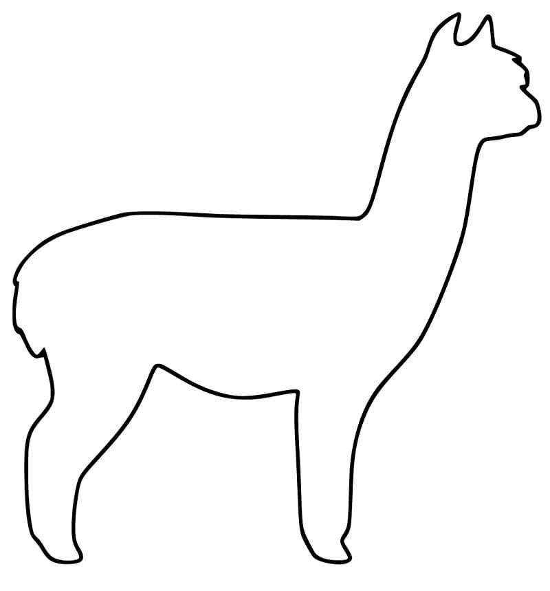 Guanaco Outline