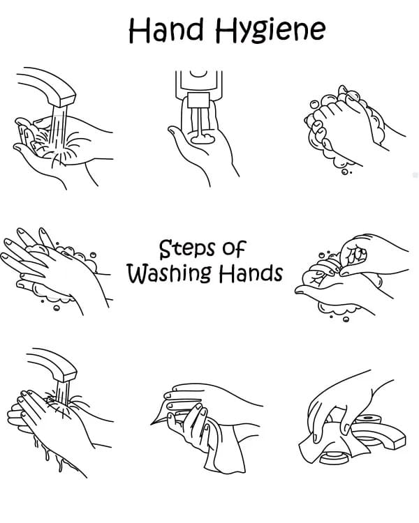 Hand Hygiene