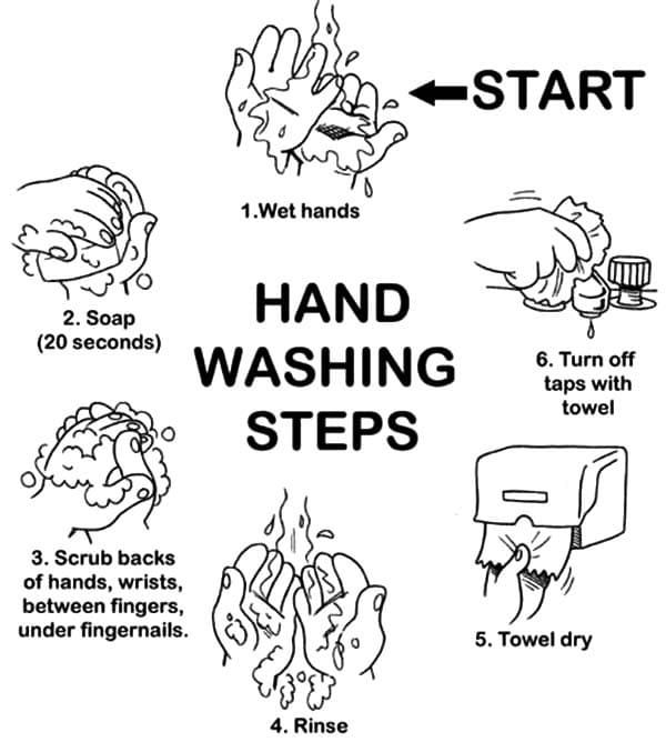 Hand Washing Steps