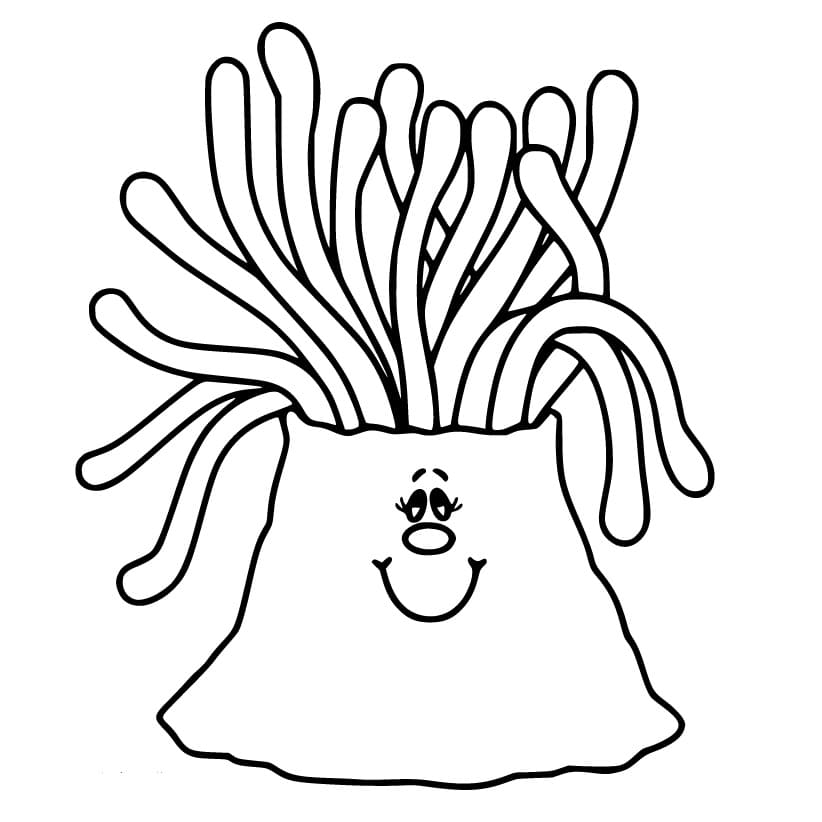 Happy Sea Anemone