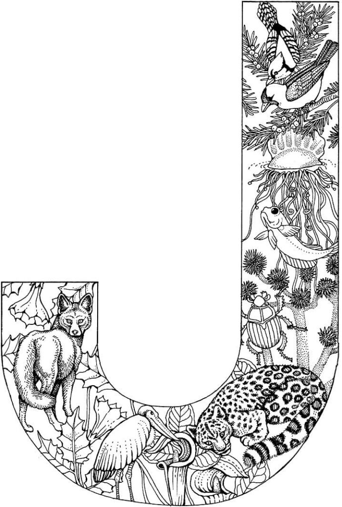 Letter J 6
