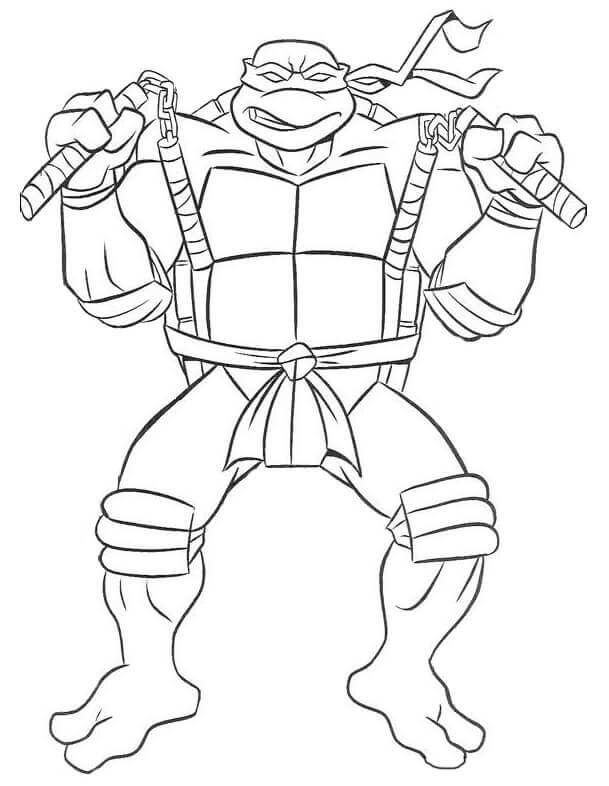 Ninja Turtle Michelangelo