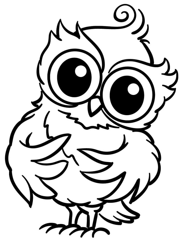 Owl to Color