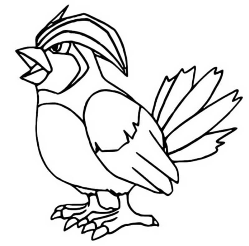  Pidgeotto Coloring Page