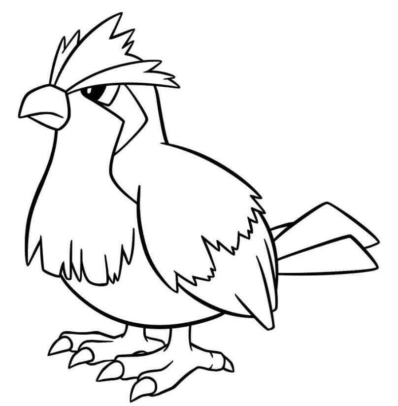 Pidgey 1