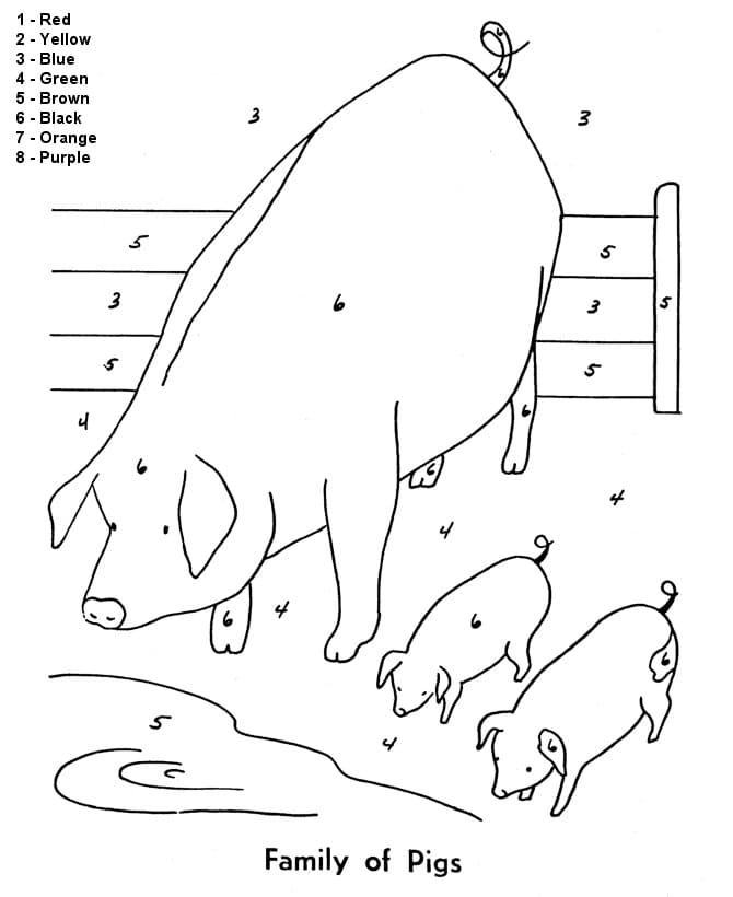 Pigs Family Color by Number