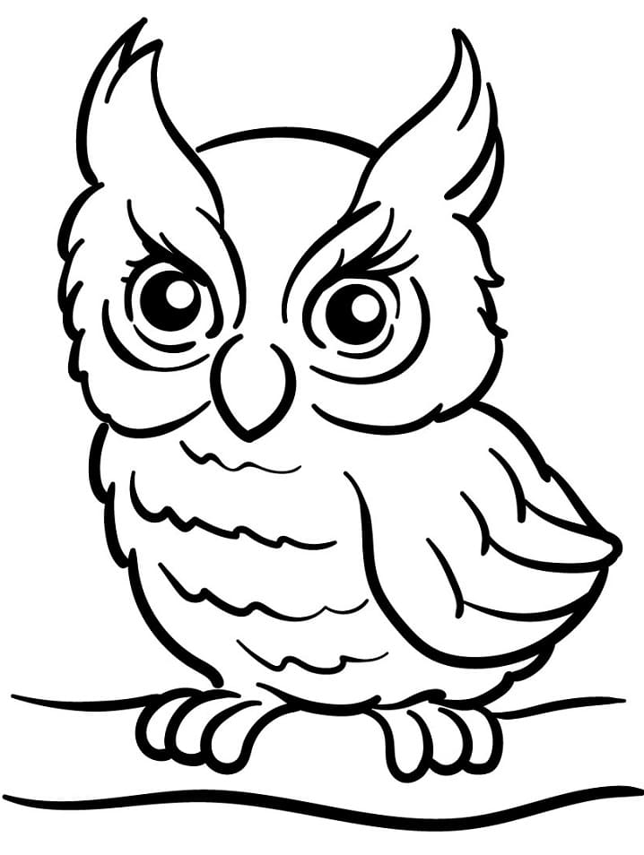 Print Owl