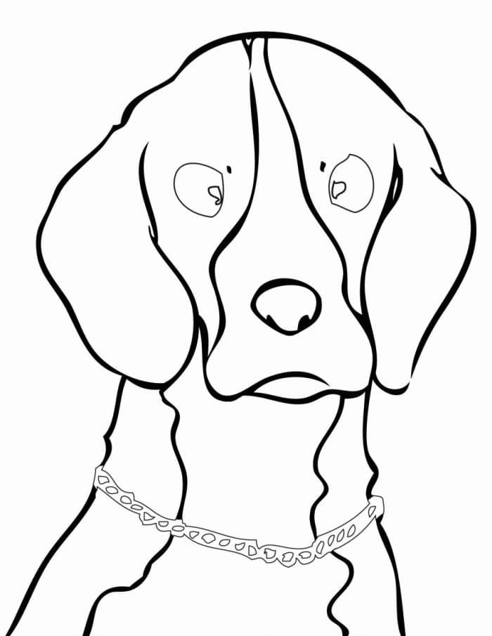Printable Beagle Dog